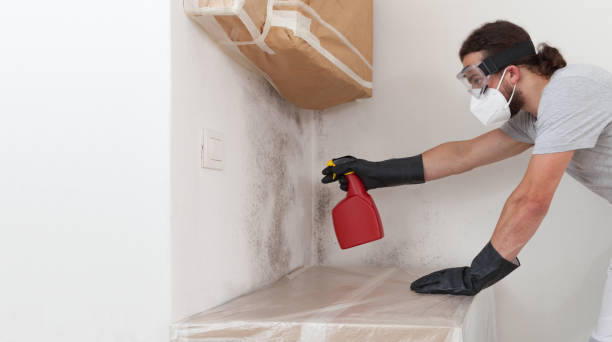 Professional Mold Testing technician working in Runnemede, NJ